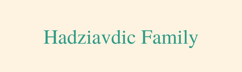 Hadziavdic Family.png
